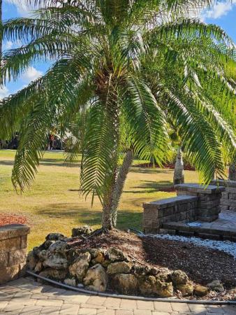 432 NW Boundary Dr, Port St. Lucie, Florida 34986, image 1