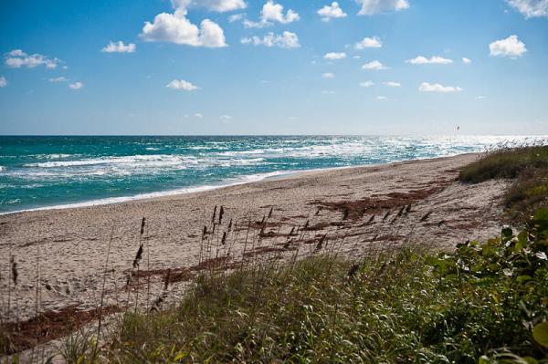 Breakers Sound At Jupiter Key, 120 Jupiter Key Rd #1, Jupiter, Florida 33477, image 2