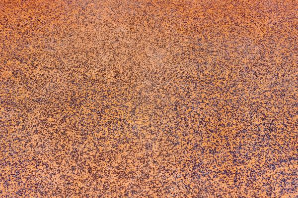 The Falls At Parkland, 7680 Cavern Ln, Parkland, Florida 33067, image 1