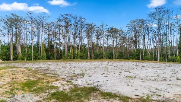 Palm Beach Country Estates, Xxxxx 88th Trl, Palm Beach Gardens, Florida 33418, image 2