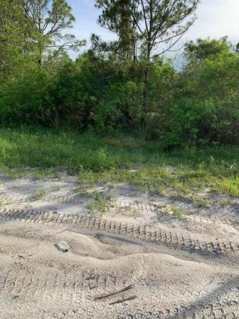 The Acreage, Lot-5010 Seminole Pratt Whitney Rd, Loxahatchee, Florida 33470, image 2