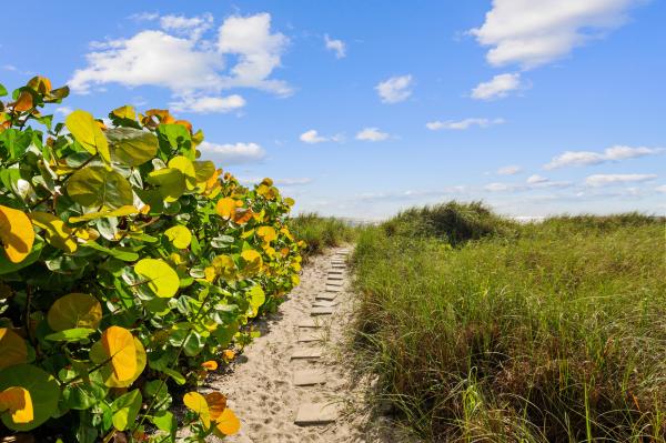 Coastal House, 2200 S Ocean Blvd #707, Delray Beach, Florida 33483, image 2