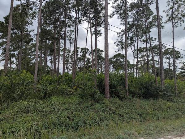 The Acreage, 17280 91st Pl N, Loxahatchee, Florida 33470, image 1