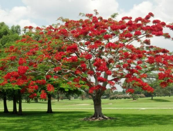 9179 SE Riverfront Ter #F, Jupiter, Florida 33469, image 1