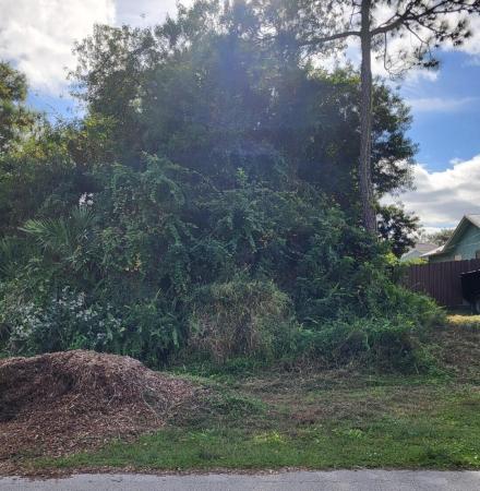 Cashmere Cove, 2338 SW Fern Cir, Port St. Lucie, Florida 34953, image 1