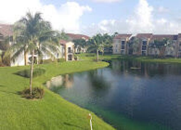 2041 Renaissance Blvd #207, Miramar, Florida 33025, image 1
