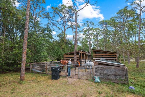 Homeland, 5446 Duckweed Rd, Lake Worth, Florida 33449, image 1