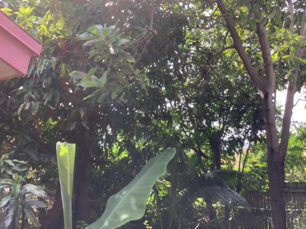 Knowles Court, 424 59th St, West Palm Beach, Florida 33407, image 1