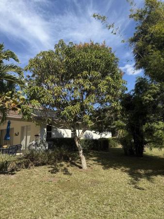 Jupiter Farms, 15119 98th Trl N, Jupiter, Florida 33478, image 1