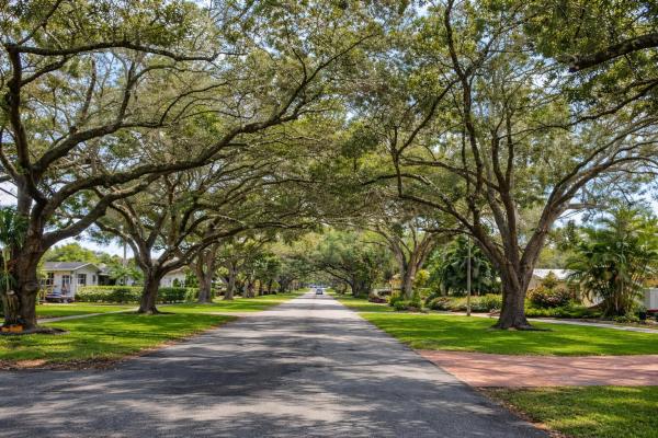 Cooper Colony Estates, 5037 SW 89th Ave, Cooper City, Florida 33328, image 1
