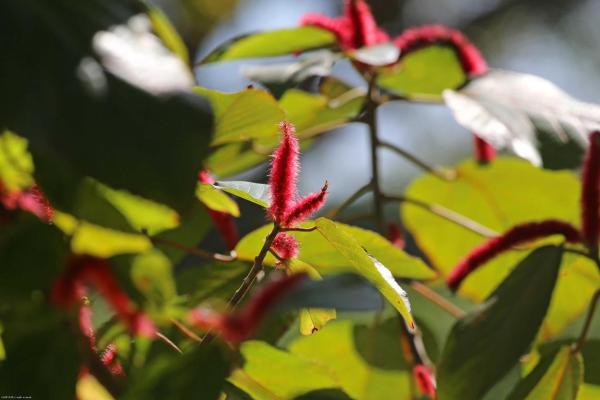 Palm Beach Point, 15262 Natures Point Ln, Wellington, Florida 33414, image 1