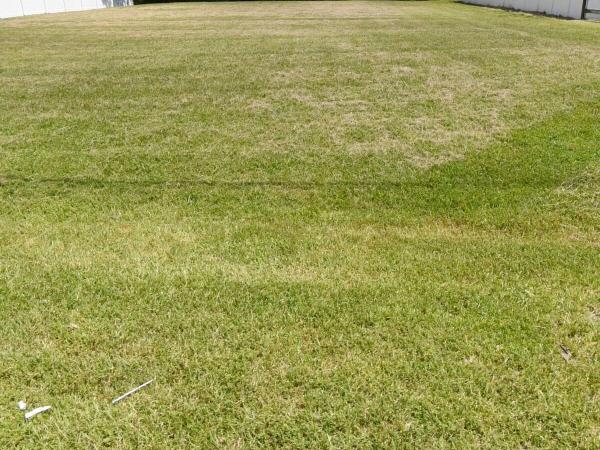 Rosser Reserve, 1772 SW Millikin Ave, Port St. Lucie, Florida 34953, image 1