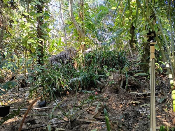 Jupiter Farms, 16038 Robin Way, Jupiter, Florida 33478, image 1