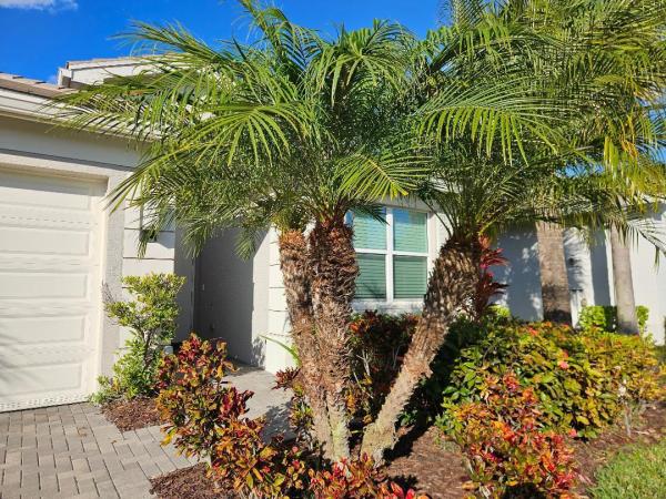 Valencia Cay At Riverland, 11087 SW Carriage Hill Ln, Port St. Lucie, Florida 34987, image 3