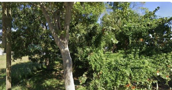 Freshwater Avenue, 619 14th St, West Palm Beach, Florida 33401, image 1