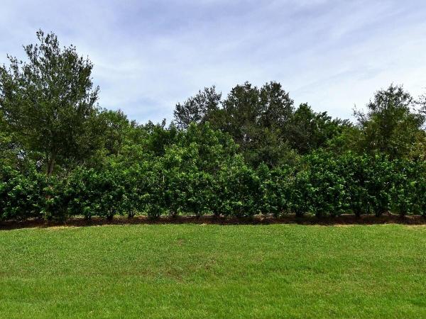 Winding Creek, 4341 Winding Pl, Fort Pierce, Florida 34981, image 1