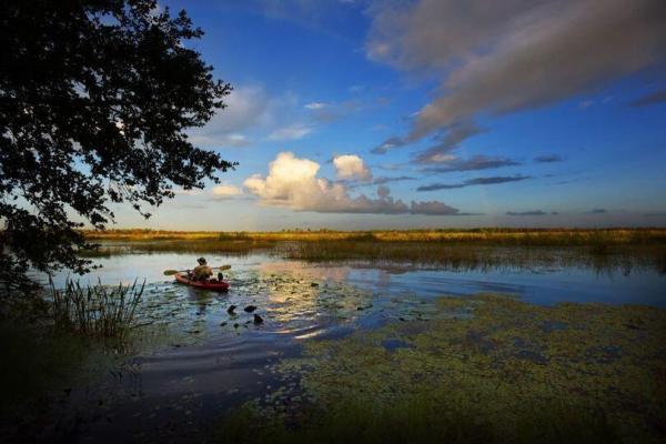 Port St Lucie Residential, 738 SW Ravenswood Ln, Port St. Lucie, Florida 34983, image 2