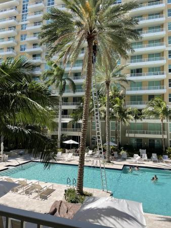 Marina Village At Boynton Beach, 100 NE 6th St #605, Boynton Beach, Florida 33435, image 1