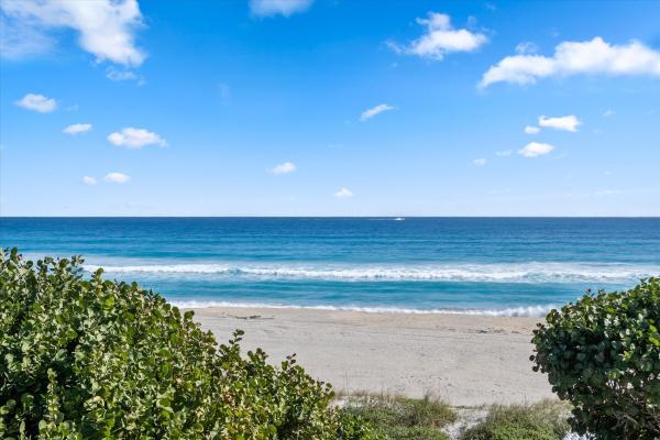 The Reef, 2275 S Ocean Blvd, Palm Beach, Florida 33480, image 3
