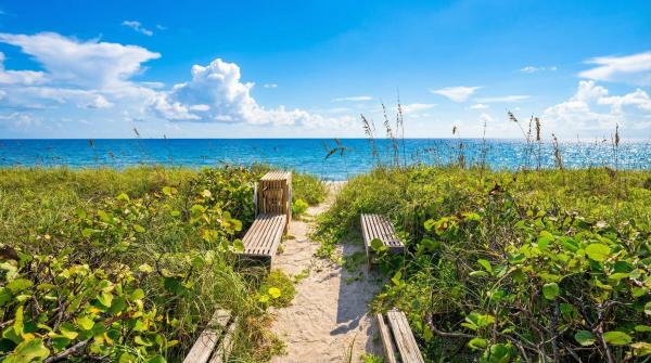 The Reef, 2275 S Ocean Blvd, Palm Beach, Florida 33480, image 1