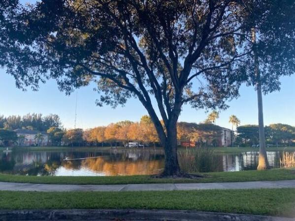 The Grand Isles, 4167 N Haverhill Rd #1107, West Palm Beach, Florida 33417, image 1