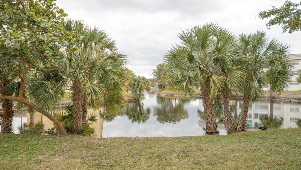 Sunrise Lakes 2, 8285 Sunrise Lakes Blvd #110, Sunrise, Florida 33322, image 1