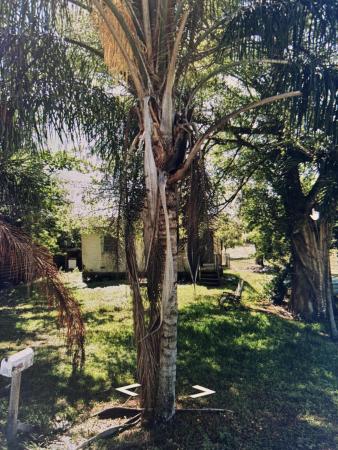 1624 NW Avenue L, Belle Glade, Florida 33430, image 2