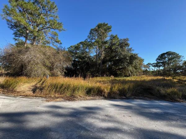 Pine Hollow, 10653 Lighter Wood Ln, Fort Pierce, Florida 34945, image 2