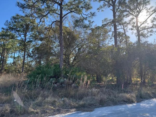 Pine Hollow, 10653 Lighter Wood Ln, Fort Pierce, Florida 34945, image 1