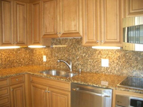 Ocean Trail, 300 Ocean Trail Way #1302, Jupiter, Florida 33477, image 1