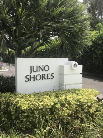 Juno Shores Resort, 420 Celestial Way #202, Juno Beach, Florida 33408, image 2