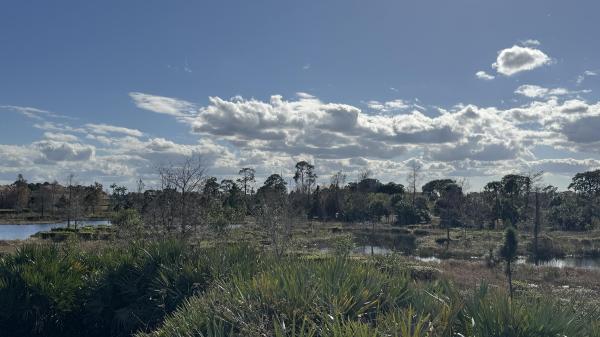 Tesoro Club, 190 SE Via Sanremo, Port St. Lucie, Florida 34984, image 2