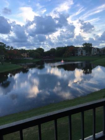 Southwinds At Crosswinds, 2070 Homewood Blvd #3070, Delray Beach, Florida 33445, image 1