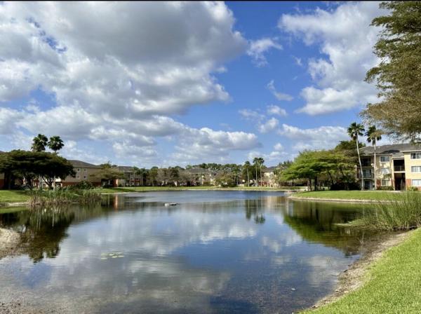 The Grand Isles, 4191 N Haverhill Rd #405, West Palm Beach, Florida 33417, image 1