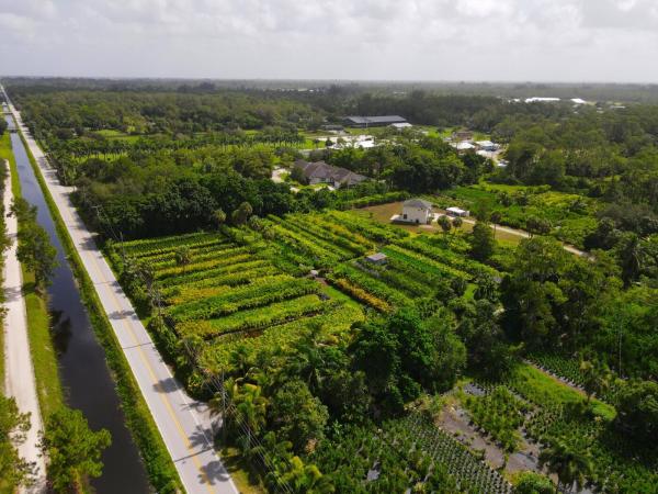 Loxahatchee Groves Residential, 1550 C Rd, Loxahatchee, Florida 33470, image 2