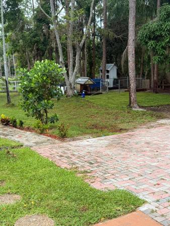 The Acreage, 15211 60th Pl N, Loxahatchee, Florida 33470, image 3