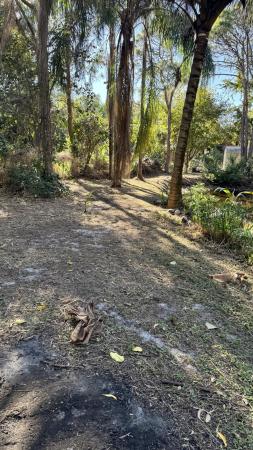 The Acreage, 11852 47th Rd N, West Palm Beach, Florida 33411, image 2