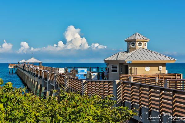 Maheu Estates, 2390 Azure Cir, Palm Beach Gardens, Florida 33410, image 3