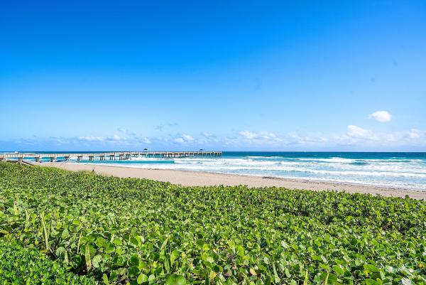 Bellaria, 3000 S Ocean Blvd #402, Palm Beach, Florida 33480, image 1