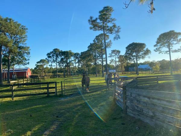 St Lucie Gardens, 7251 Gullotti Pl, Port St. Lucie, Florida 34952, image 1