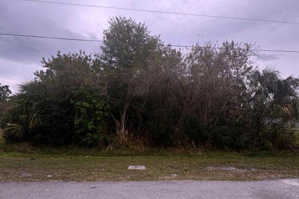 Tulip Park, 3702 SW Darwin Blvd, Port St. Lucie, Florida 34953, image 1