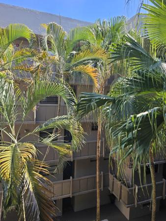 Colony Point, 1001 Colony Point Cir #417, Pembroke Pines, Florida 33026, image 3
