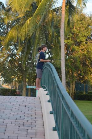 RiverWalk, 7800 Quida Dr, West Palm Beach, Florida 33411, image 3
