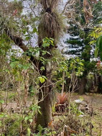 6685 Lakeside Rd, West Palm Beach, Florida 33411, image 1