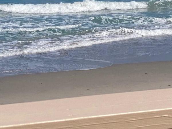 Brigadoon, 500 Ocean Dr #E-1a, Juno Beach, Florida 33408, image 1