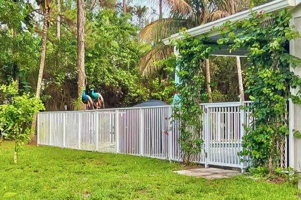 The Acreage, 12394 61st Ln N, West Palm Beach, Florida 33412, image 3