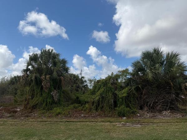 Cashmere Cove, 1658 SW Hampshire Ln, Port St. Lucie, Florida 34953, image 2