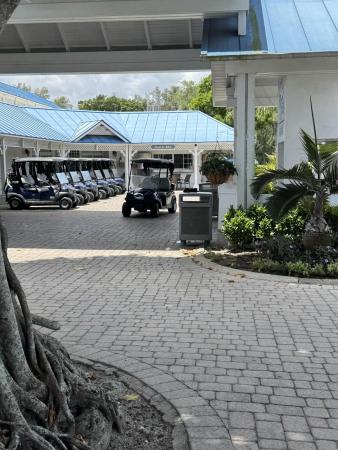 Hidden Woods Of Deer Creek, 297 Deer Creek Blvd #1305, Deerfield Beach, Florida 33442, image 3