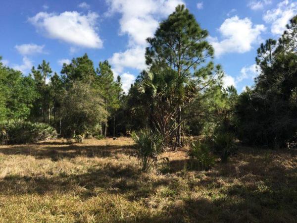 0 Old Ffa Road, Fort Pierce, Florida 34945, image 1